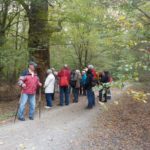 Waldspaziergang Goldstein 15-10-2016
